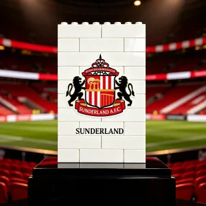 sunderland fc 64200018